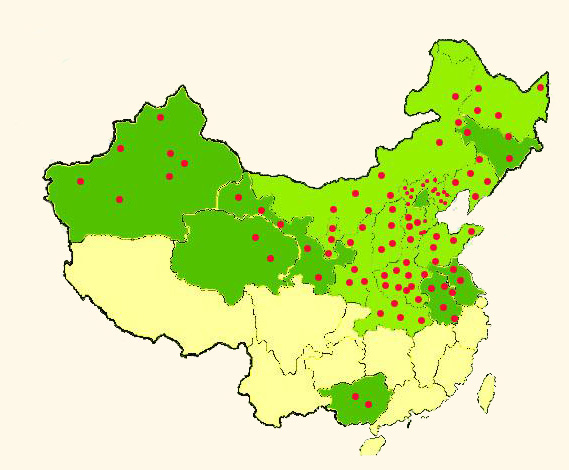 销售网络